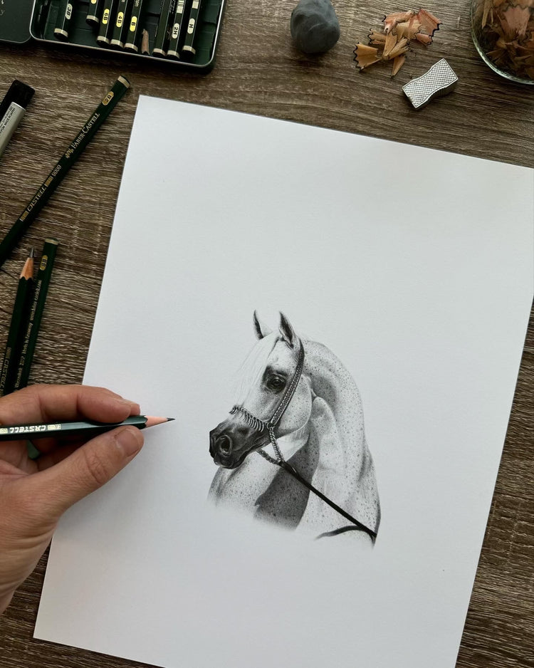 "Mini" Portrait Commissions
