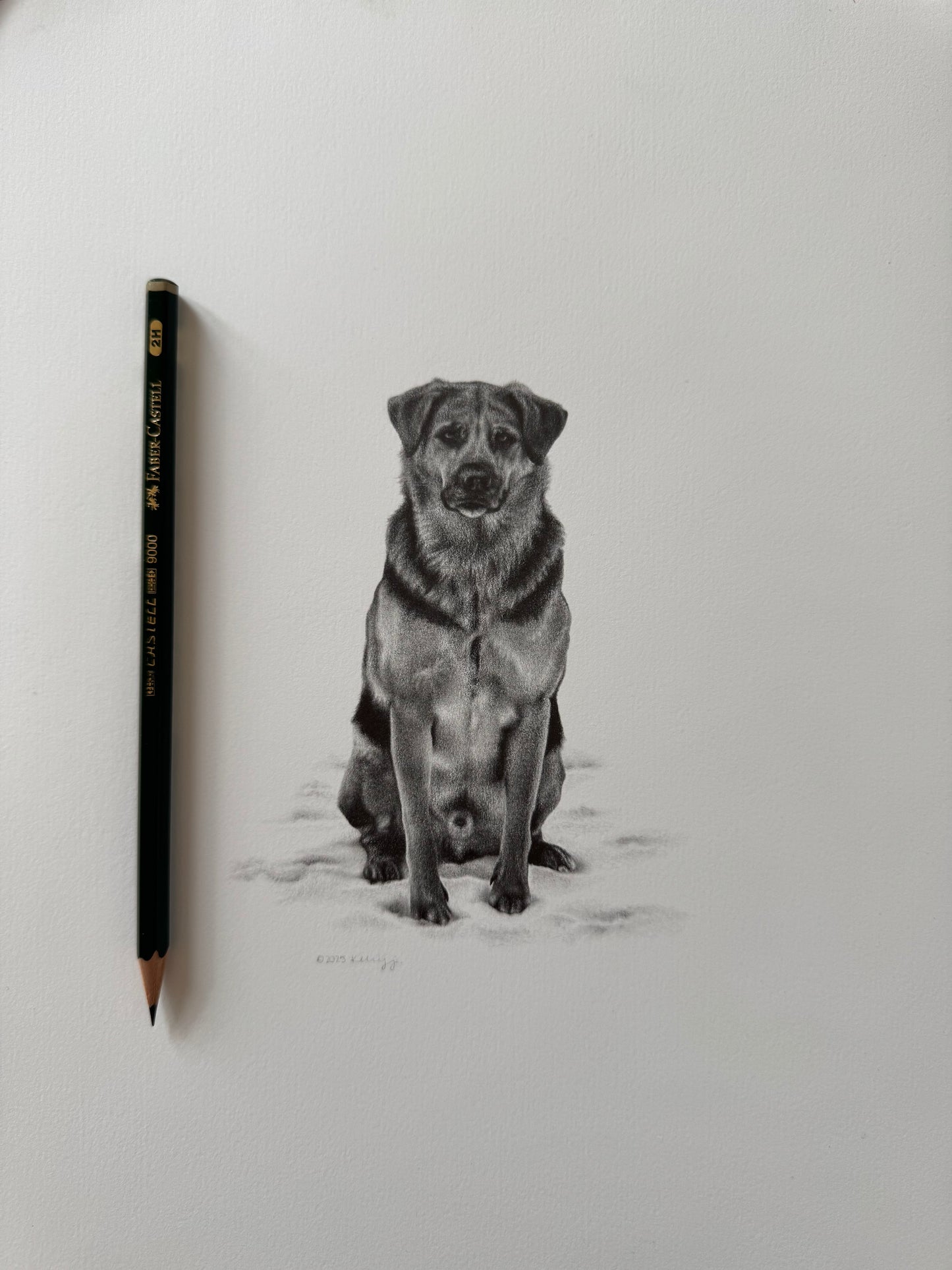 Cooper