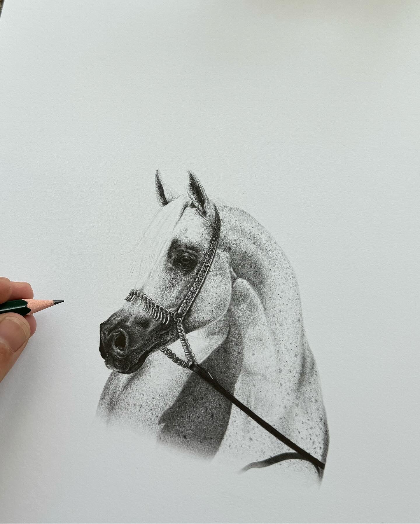 "Knight in White Satin"