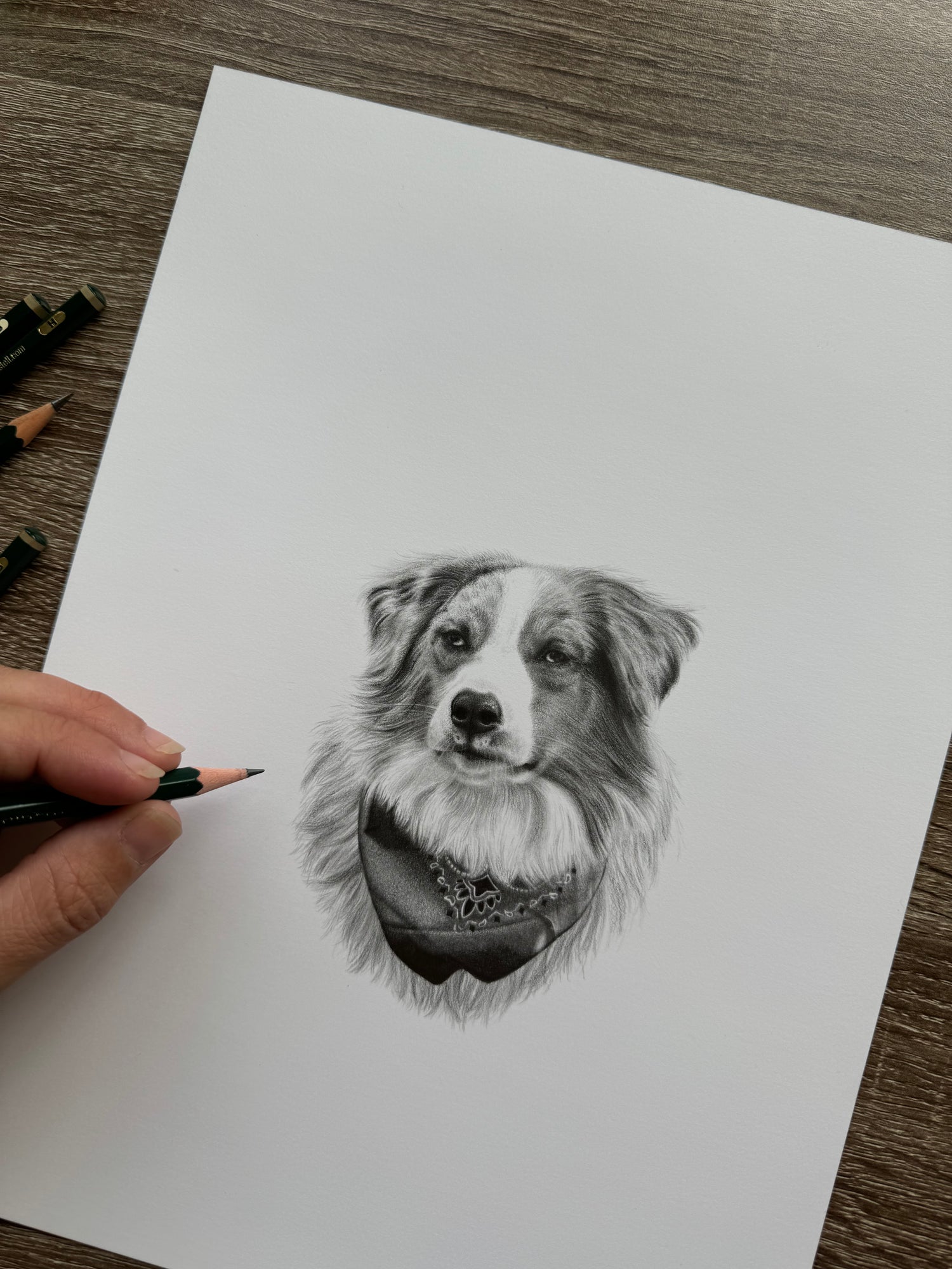 "Mini" Portrait Commissions