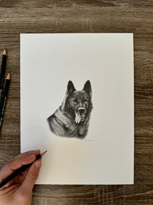 “Loki”
