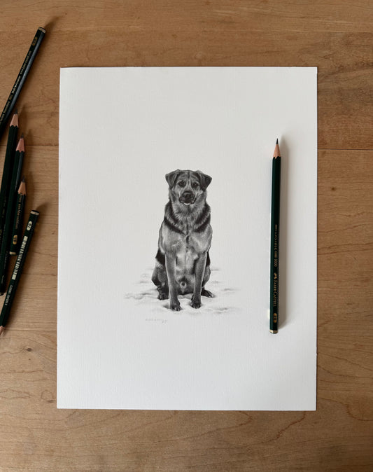 Cooper